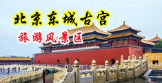 操淫妇的屄中国北京-东城古宫旅游风景区
